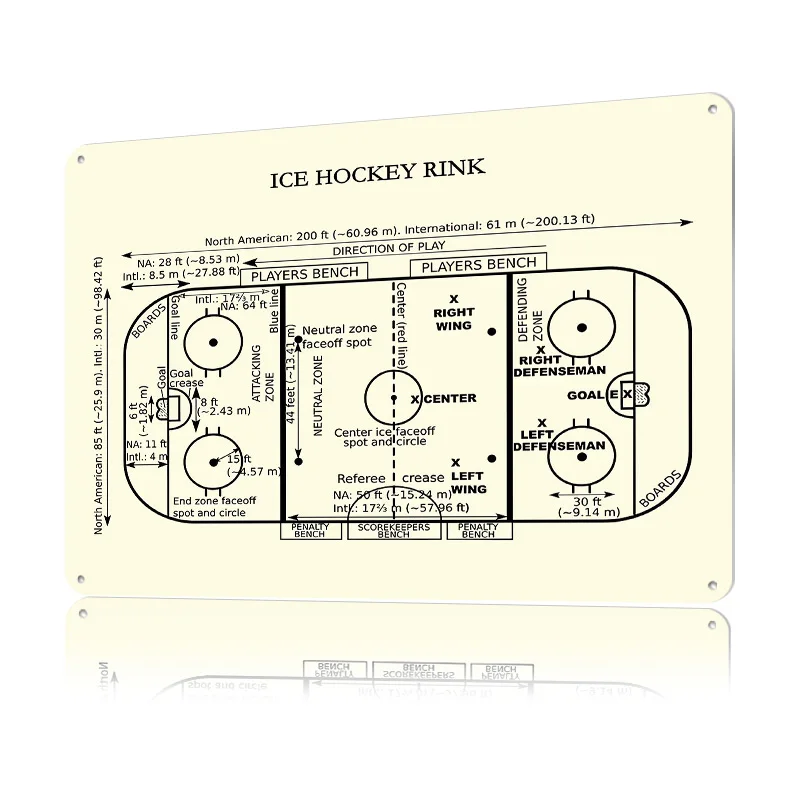 Ice Hockey Rink Diagram 3D Tex - 3D Printing Diagram 评论和价格