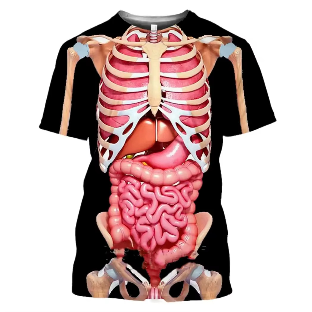 Male Skeleton Internal Organs  - 3D Printing Diagram 评论和价格