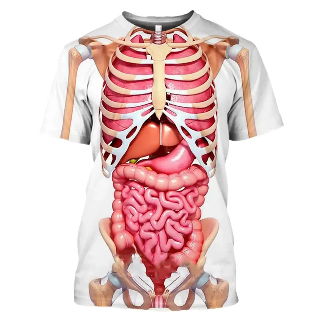 Male Skeleton Internal Organs  - 3D Printing Diagram 评论和价格
