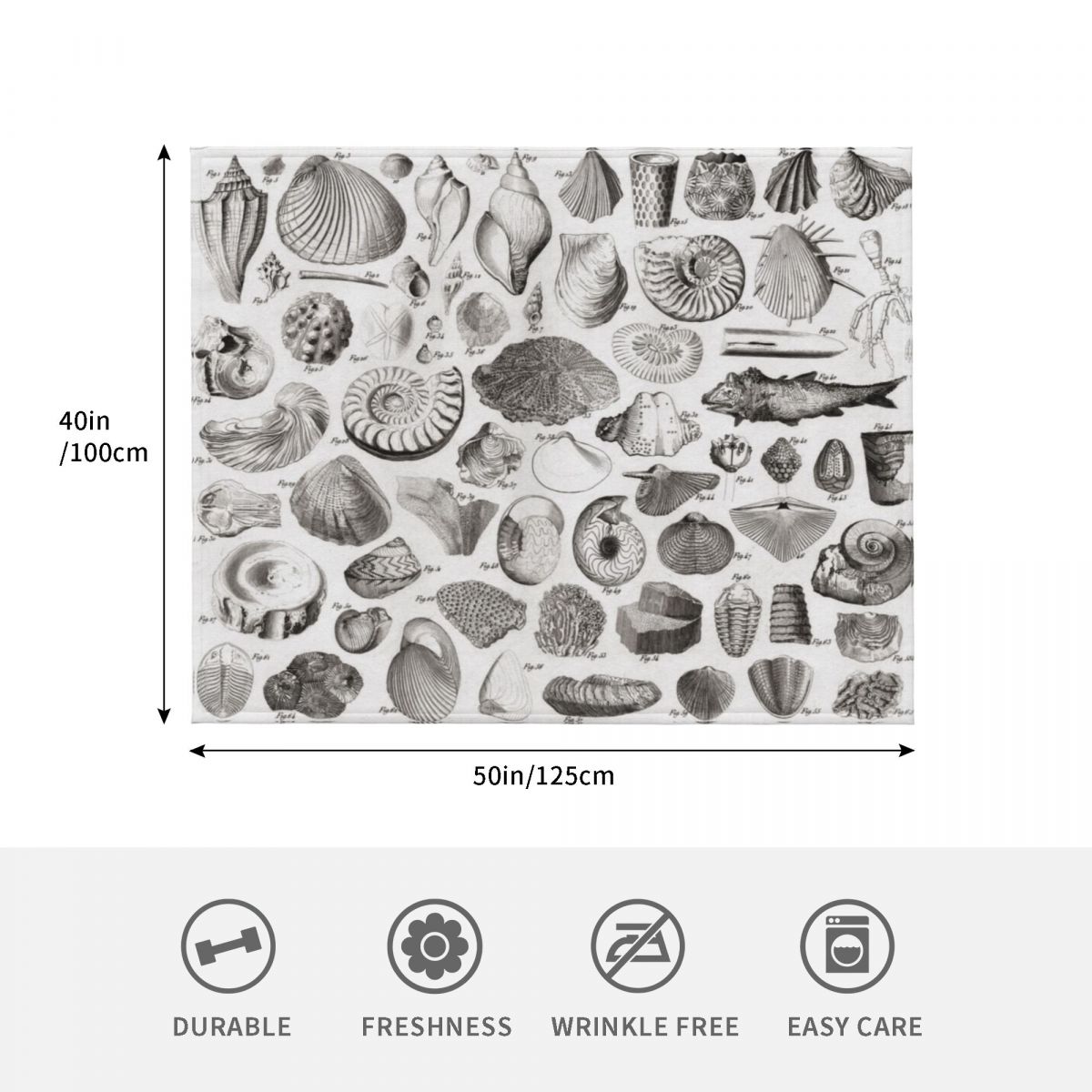 1857 Diagram Paleontology: Fos - 3D Printing Diagram 评论和价格